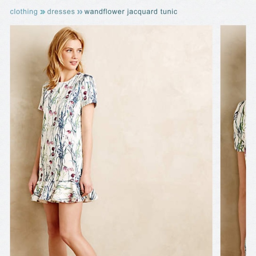 Anthropologie Wandflower Jacquard Mini Dress Anthropologies